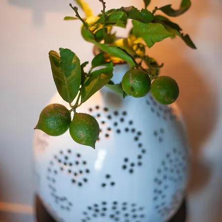 Casa Lucilla - Puglia Mia *